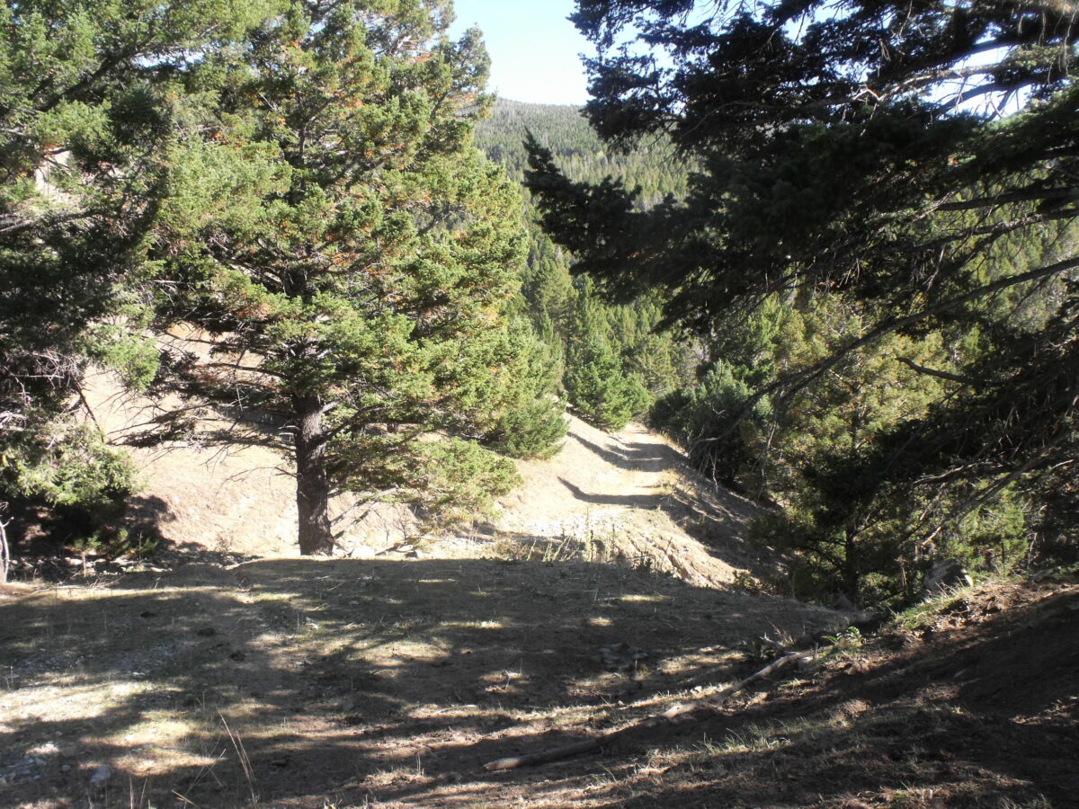 Dallas Land Company Helping you buy and sell your Montana real estate.